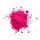Rote Beete Pulver 100 g