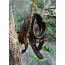 Johannisbrot ganz getrocknet 500 g