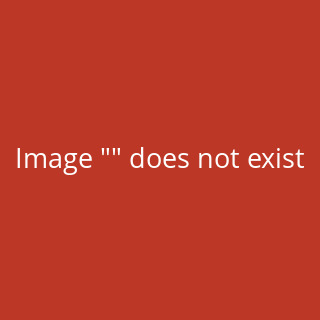 Flohsamenschalen ganz 500 g Indien