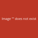 Flohsamenschalen ganz 500 g Indien