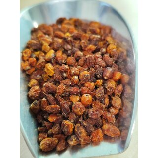 Sanddornbeeren ganz getrocknet 10 g Hippophae fruct. tot. ( Yabani Igde )