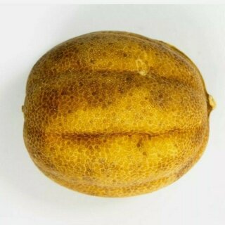 Limetten in ganzen Stück getrocknet 50 g