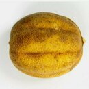Limetten in ganzen Stck getrocknet 50 g