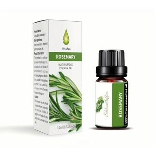 Aromatherapie-therisches l Langanhaltender Duft, Rosmarinl Rosemary Oil 10 ml