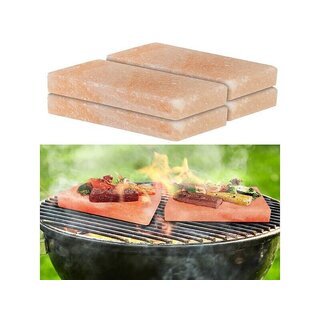 Salzsteinplatte rechteckig 10 � 20 � 2,5 cm ? f�r Grill &...