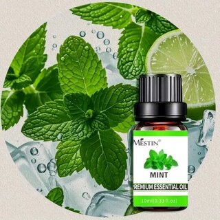 Minzel therisches l 10 ml Glas Mint Oil Pfefferminzl Minze l 