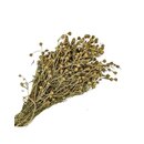 �ZERLIK OTU Steppenraute B�ndel Peganum Harmala 100 g 