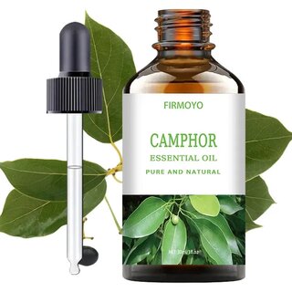 Kampfer therisches l - Natrliche Pflanzenextrakt...